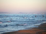 Il mar Adriatico gode di buona salute