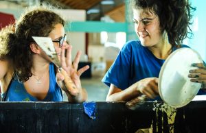 Tutti i numeri del Meeting 40