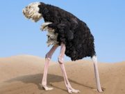 Caos climatico: politiche da struzzi