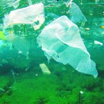 plastica e ambiente