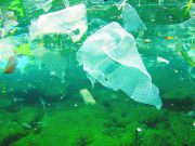 Ecologia, vedere, giudicare, agire