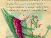 Il Codice è sempre celeste?