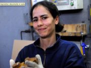 Occupazione: le donne recuperano sugli uomini