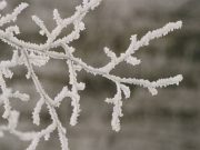 Epifania con temperature in brusco calo