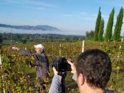 New farmers: tornano gli agricoltori innovativi