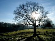 Ultimo weekend di febbraio soleggiato