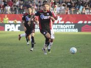 Rimini, devi mettere i canarini in gabbia