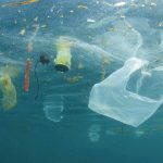 plastica mare2