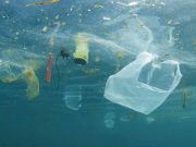 Plastica in mare, Rimini dice… Basta