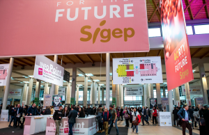 RiminiFiera, il “gelato” non era sospetto