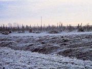 Bel tempo con freddo e gelate mattutine