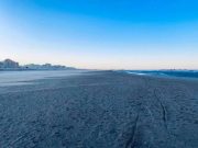 La primavera si fa strada: temperature in aumento