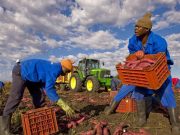 Regolarizzazione immigrati. Caritas italiana: “Operazione di grande civiltà”