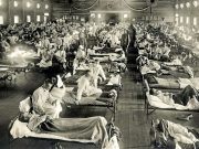 Alza gli occhi homo sapiens