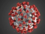 Coronavirus, una cinquantina di positivi alla Bartolini di Bologna