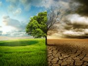 Rimini: ogni residente emette 6 tonnellate di CO2. Urge un “Patto per il clima”