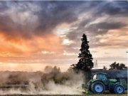 Pandemia: in gioco economia e stili di vita