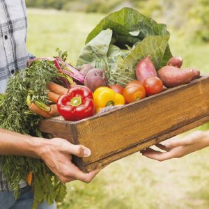 poco di buono, verdure solidali
