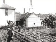 Un secolo di agricoltura ‘alla romagnola’
