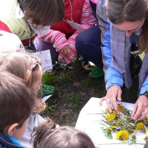 catechisti educatori