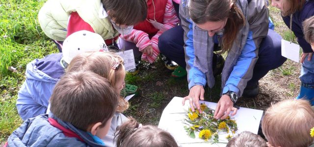 catechisti educatori
