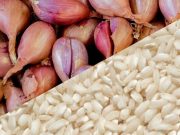 La Romagna nel risotto: lo scalogno di Romagna IGP risotto allo scalogno