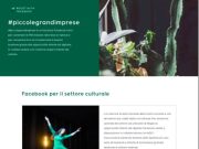 Covid, Facebook e AGIS insieme per sostenere la cultura