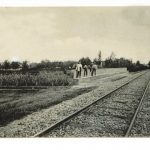 arrivo del treno