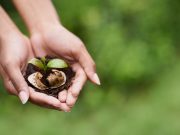 Il caffè espresso napoletano amico dell’ambiente
