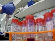 Rimini, Coronavirus: calano i contagi (73) e le terapie. Nessun decesso