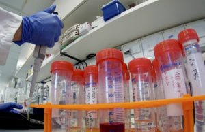 Rimini, Coronavirus: calano i contagi (73) e le terapie. Nessun decesso