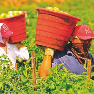 lavoro nero nuove misure per il contrasto