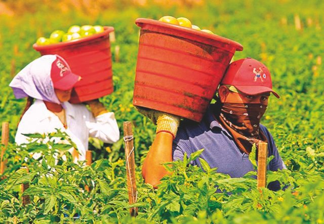 lavoro nero nuove misure per il contrasto