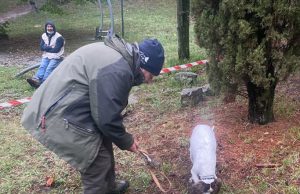 S. Agata, gara tartufo tutta al femminile