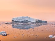 Una tachipirina per la terra cambiamenti climatici