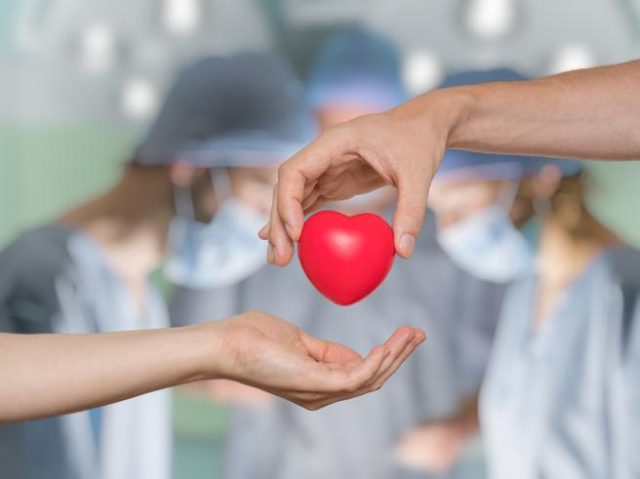 donazione organi sangue admo midollo osseo