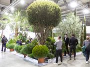 E IEG si profuma di verde