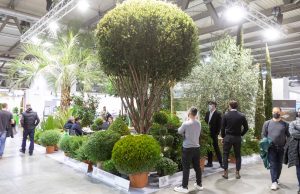 E IEG si profuma di verde