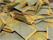 NELLA ‘GIUNGLA’ DEL VOTO