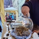 Premio Tartufo sottovetro