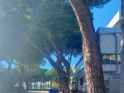 Strade allagate e rami spezzati, i danni del maltempo a Rimini e Riccione