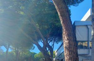 Strade allagate e rami spezzati, i danni del maltempo a Rimini e Riccione