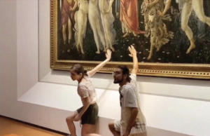 Ambientalisti o semplici disturbatori?