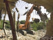 Nella ‘giungla’ degli abusi