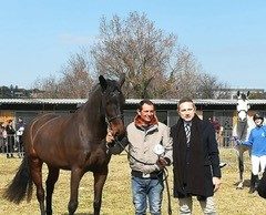 A San Giovanni in Marignano si allevano cavalli vincenti