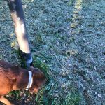 342830772_266314439068269_1196531422888625716_n