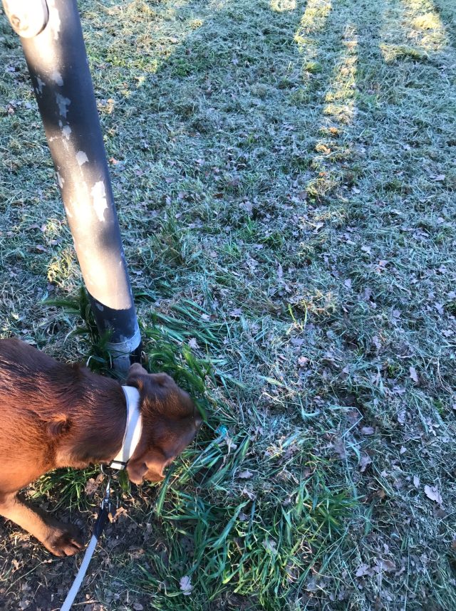 342830772_266314439068269_1196531422888625716_n