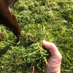 342841290_893056645100971_6379329846557758216_n