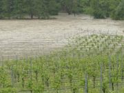 Maltempo, Coldiretti: “Salviamo le nostre campagne”