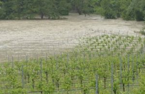 Maltempo, Coldiretti: “Salviamo le nostre campagne”